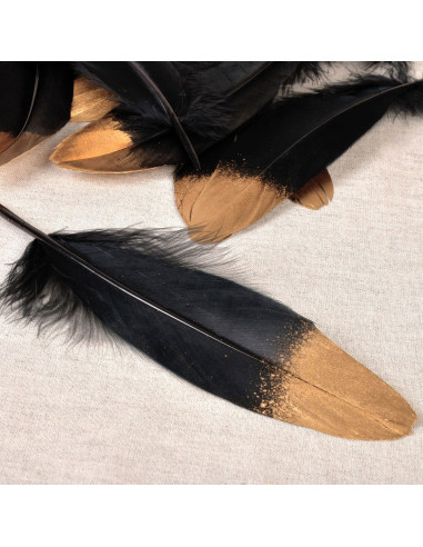 Set de 10 plumes finition dorée - Noir