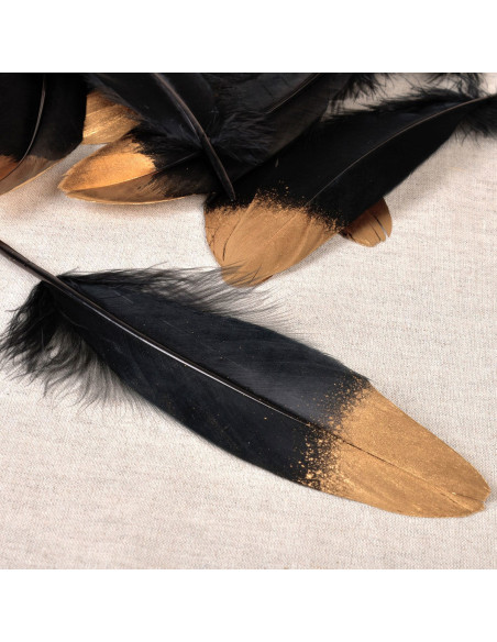 Set de 10 plumes finition dorée - Noir