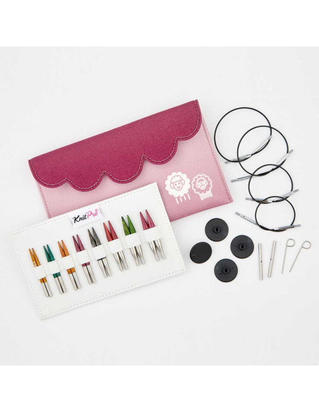Trousse aiguilles à tricoter circulaires mini KnitPro Dreamz