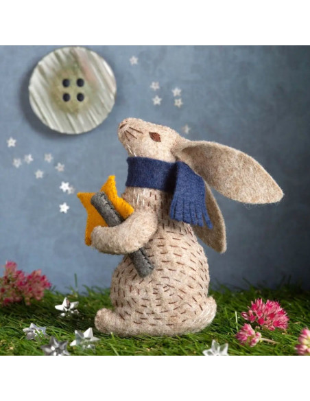 Kit feutrine - Lapin astronome