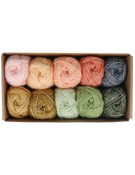 Coffret de 10 pelotes Scheejes Stone Washed Colour Pack - Intentions