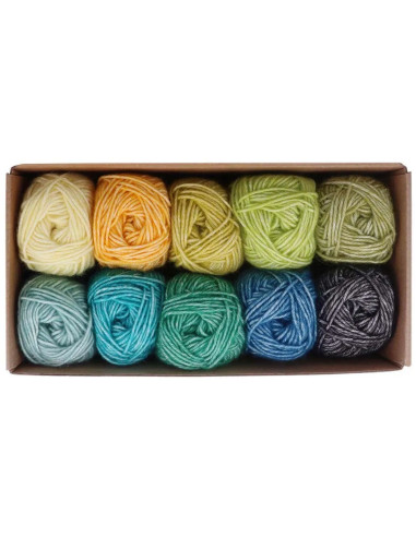 Coffret de 10 pelotes Scheejes Stone Washed Colour Pack - Grounding
