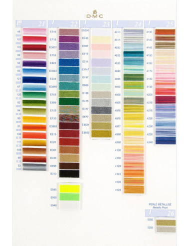 Nuancier 500 coloris moulinés et perlé DMC
