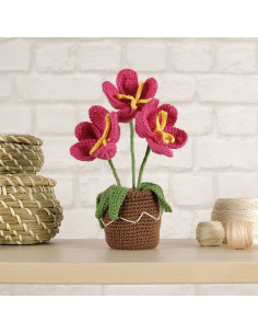 Kit amigurumi - Pot de fleurs
