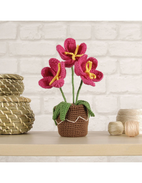 Kit amigurumi - Pot de fleurs