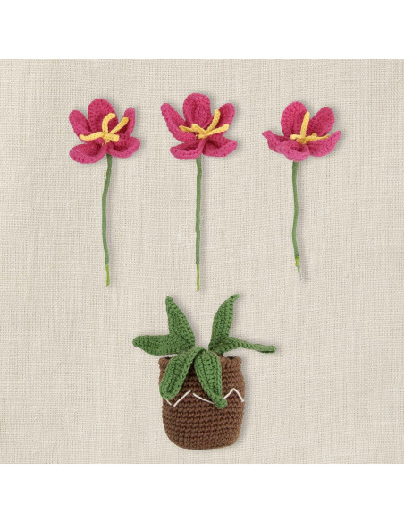 Kit amigurumi - Pot de fleurs