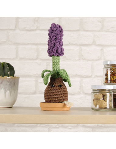 Kit amigurumi - Jacinthe
