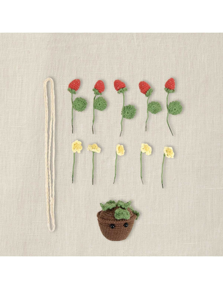 Kit amigurumi - Fraises estivales