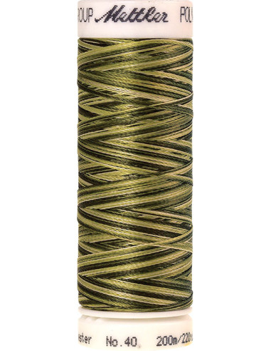 Fil à broder Poly sheen multicolor Mettler
