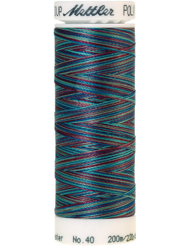 Fil à broder Poly sheen multicolor Mettler