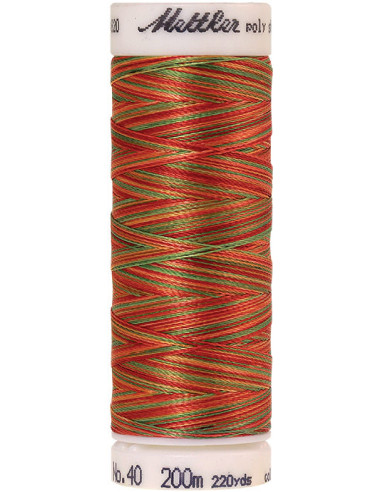 Fil à broder Poly sheen multicolor Mettler