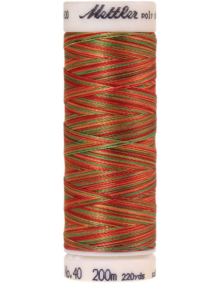Fil à broder Poly sheen multicolor Mettler