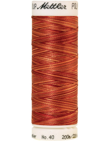 Fil à broder Poly sheen multicolor Mettler
