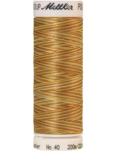 Fil à broder Poly sheen multicolor Mettler