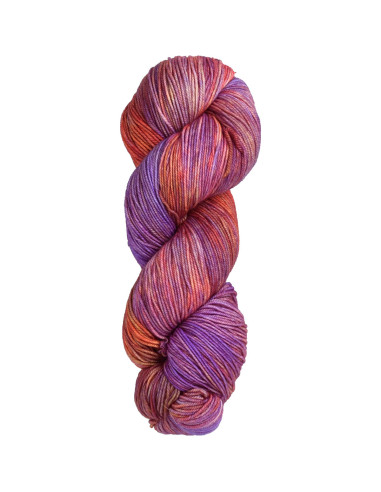 Laine à chaussettes Sock Malabrigo