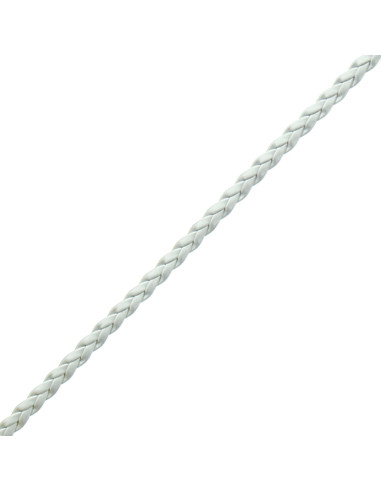 Tresse simili argent mat