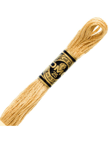 Fil à Broder DMC Mouliné – 500 Couleurs 6 Brins