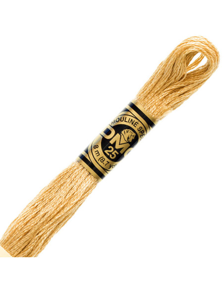 Fil à Broder DMC Mouliné – 500 Couleurs 6 Brins