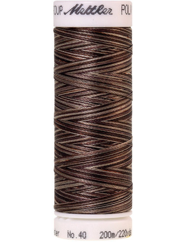 Fil à broder Poly sheen multicolor Mettler