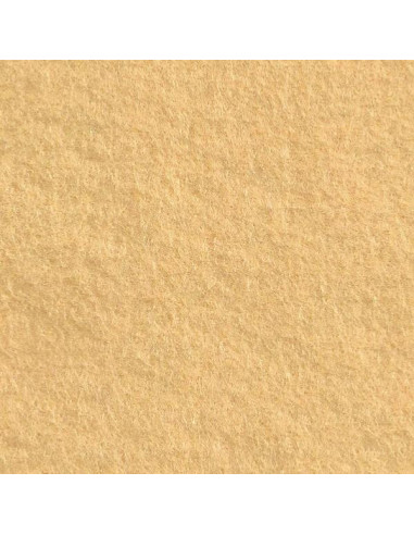 Coupon de feutrine Cinnamon Patch 30 x 45 cm