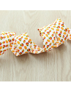 Biais fruits - Mangue 2
