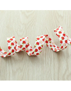 Biais fruits - Pomme 2