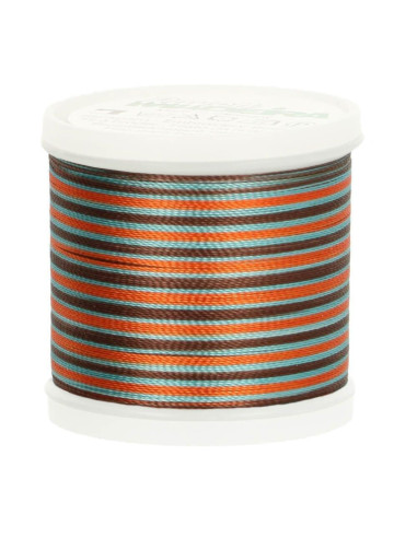 Fil à broder Madeira Rayon Multicolor 200 m