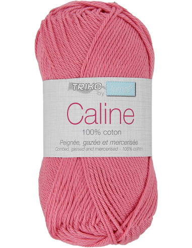 Coton Câline