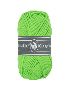 Fil Durable Cosy Fine 2