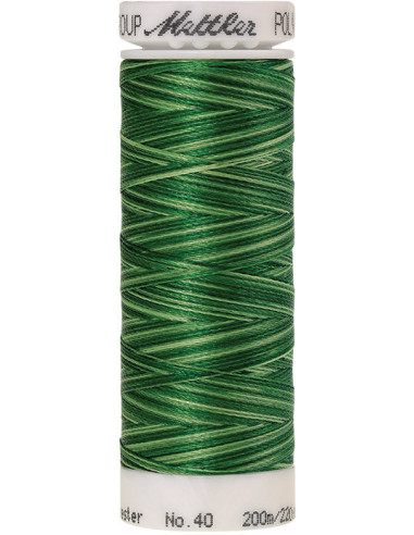 Fil à broder Poly sheen multicolor Mettler