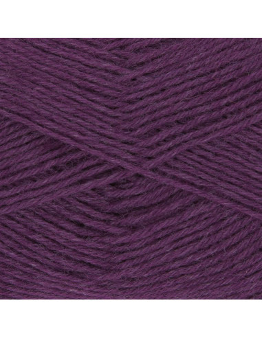 Laine à chaussettes Hot Socks uni 50 Gründl