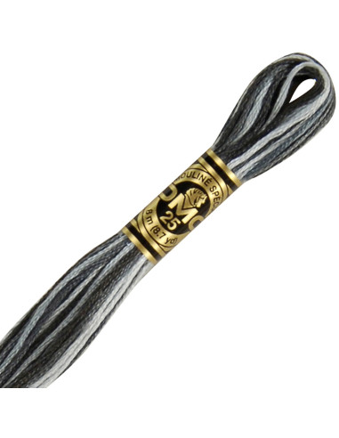 Fil à broder Mouliné DMC