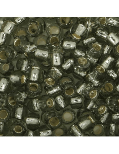 Perles en verre 8/0 Toho