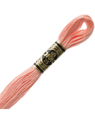 Fil à broder Mouliné DMC