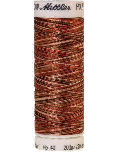 Fil à broder Mettler Polysheen multicolor 2
