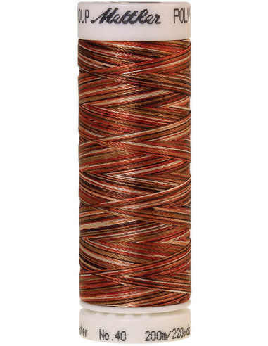 Fil à broder Poly sheen multicolor Mettler