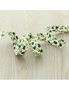 Biais fruits - Ananas 2