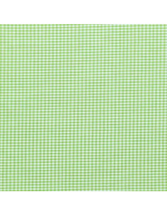 Tissu Vichy petits carreaux - Vert anis 2