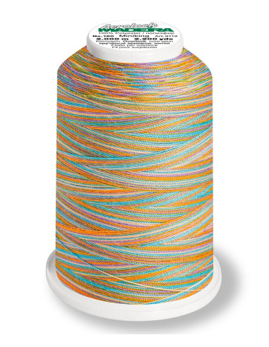 Cône pour surjeteuse Madeira Aerolock Multicolor 1200 m