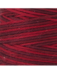Fil sashiko ombré hidamari Lecien Cosmo 30 m 2