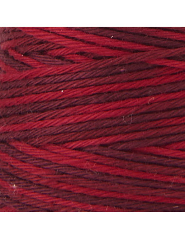 Fil sashiko ombré hidamari Lecien Cosmo 30 m