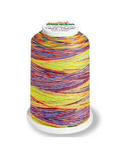 Cône de fil mousse Madeira Aeroflock Multicolor 1000 m 2