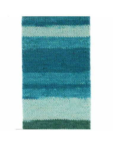 Laine pour chaussettes Scheepjes Arcadia