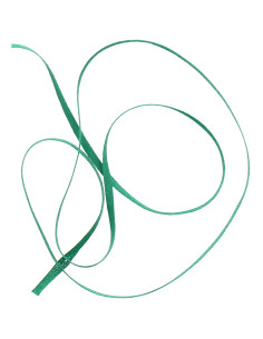 Bolduc pour patronage - Vert