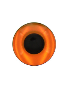 Yeux pour peluches - Fauve