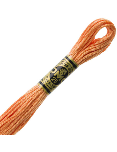 Fil à Broder DMC Mouliné – 500 Couleurs 6 Brins