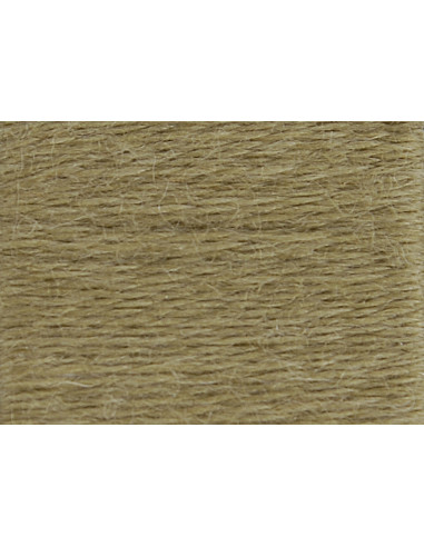 Fil de laine organique DMC Eco Vita 360