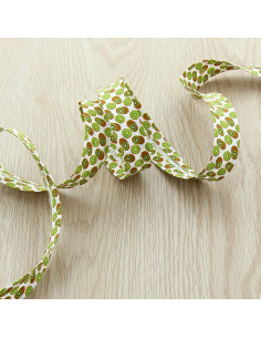 Biais fruits - Kiwi 2