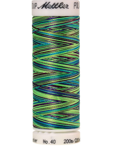 Fil à broder Poly sheen multicolor Mettler