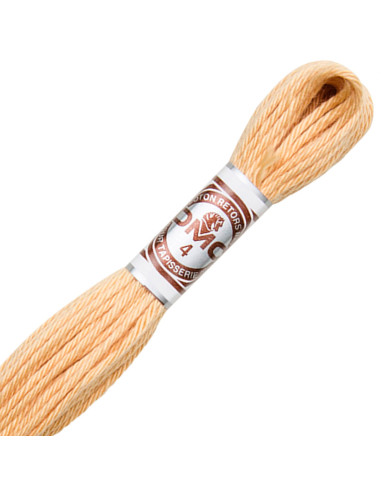 Fil retors mat DMC, fil à tapisserie pour canevas